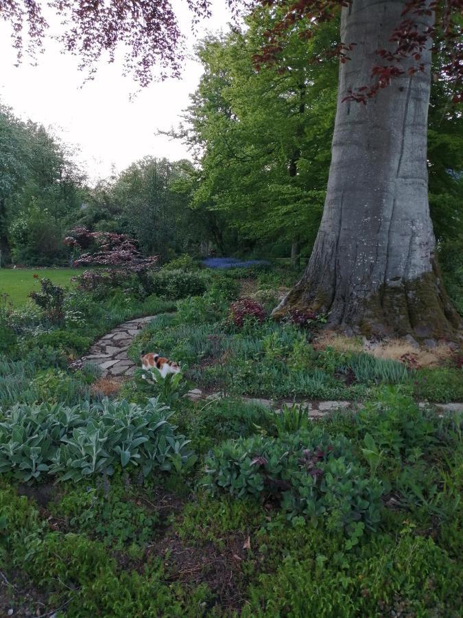 Chambre Le Notre Le Domaine Des Jardins De Bracquetuit Exteriör bild