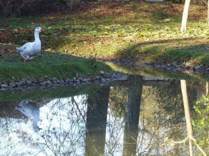 Chambre Le Notre Le Domaine Des Jardins De Bracquetuit Exteriör bild