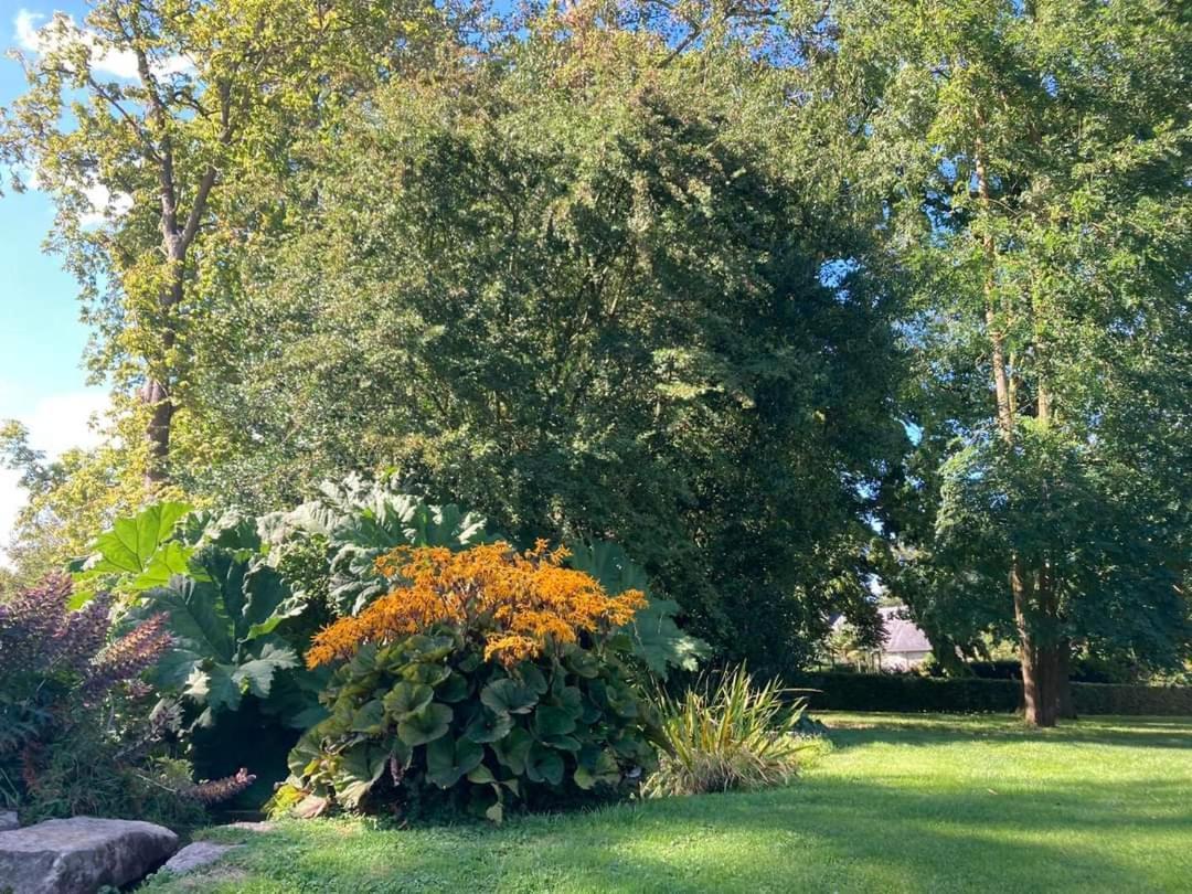 Chambre Le Notre Le Domaine Des Jardins De Bracquetuit Exteriör bild